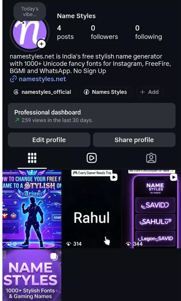 Instagram profile displaying a saved stylish name at the top